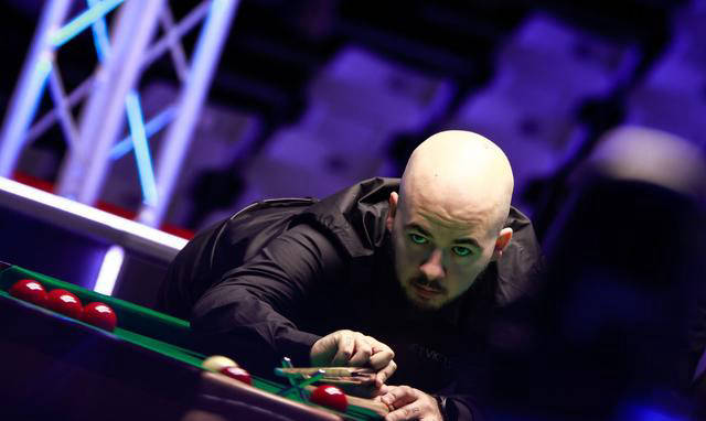 的观赏性 的观赏性