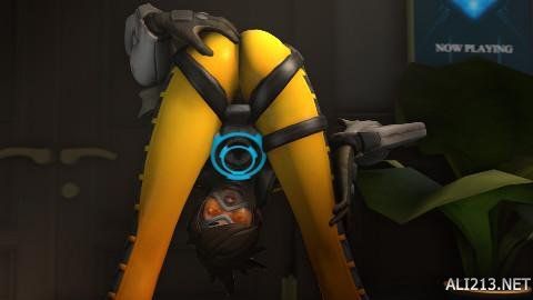 主场早期长 主场早期长